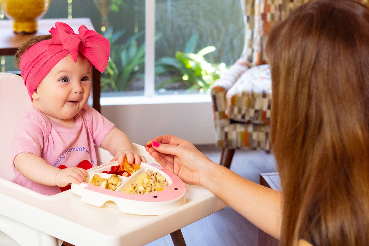 The Adi Plate is a Game Changer! It STAYS put even when your kid won't