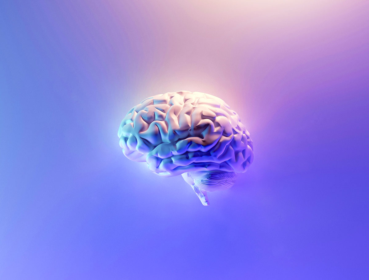 Exploring the History of Leading Neuroscience Research on Childhood Spanking